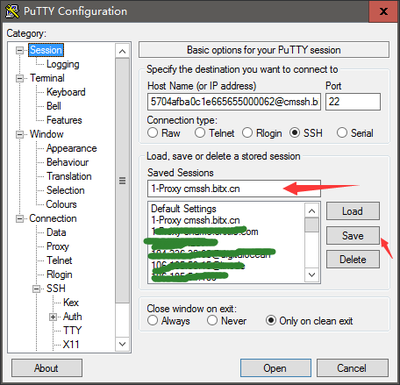 使用PuTTY 结合SSH 隧道访问网站教程