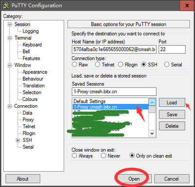 使用PuTTY 结合SSH 隧道访问网站教程